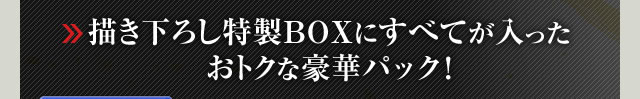 描き下ろし特製BOXにすべてが入ったおトクな豪華パック！